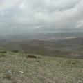 Sakers wintering grounds in Sicily: Trapani region