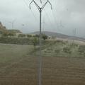 Threats: Power lines