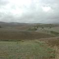 Sakers wintering grounds in Sicily: Trapani region