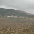 Sakers wintering grounds in Sicily: Trapani region