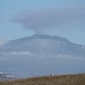 Sakers wintering grounds in Sicily: Catania plain & hills