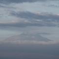 Sakers wintering grounds in Sicily: Catania plain & hills