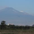 Sakers wintering grounds in Sicily: Catania plain & hills