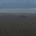 Sakers wintering grounds in Sicily: Catania plain & hills