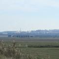 Sakers wintering grounds in Sicily: Catania plain & hills