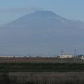 Sakers wintering grounds in Sicily: Catania plain & hills