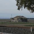 Sakers wintering grounds in Sicily: Catania plain & hills