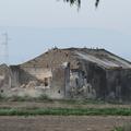 Sakers wintering grounds in Sicily: Catania plain & hills