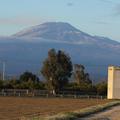 Sakers wintering grounds in Sicily: Catania plain & hills