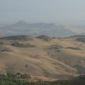 Sakers wintering grounds in Sicily: Catania plain & hills