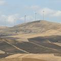 Threats: Wind Farm