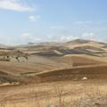 Sakers wintering grounds in Sicily: Gela plains & a male Saker's (Barna) wintering ground