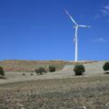 Threats: Wind Farm