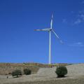 Threats: Wind Farm