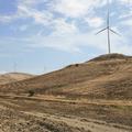 Threats: Wind Farm