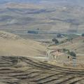 Sakers wintering grounds in Sicily: Gela plains & a male Saker's (Barna) wintering ground