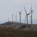 Threats: Wind Farm