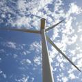 Threats: Wind Farm