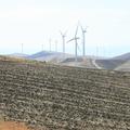 Threats: Wind Farm