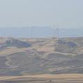 Threats: Wind Farm