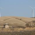 Threats: Wind Farm