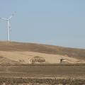 Threats: Wind Farm