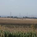 Threats: Power lines