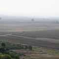 Sakers wintering grounds in Sicily: Catania plain & hills