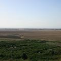 Sakers wintering grounds in Sicily: Catania plain & hills