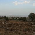Sakers wintering grounds in Sicily: Siracusa region