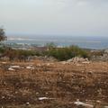 Sakers wintering grounds in Sicily: Siracusa region