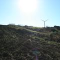 Threats: Wind Farm