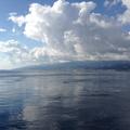 Sakers wintering grounds in Sicily: Messina strait