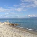Sakers wintering grounds in Sicily: Messina strait