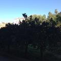 Closing workshop Palermo 18/12/2013