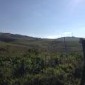 Threats: Wind Farm