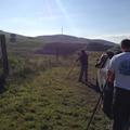 Sakers wintering grounds in Sicily: Gela plains & a male Saker's (Barna) wintering ground