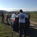 Sakers wintering grounds in Sicily: Gela plains & a male Saker's (Barna) wintering ground