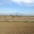 Sakers wintering grounds in Sicily: Catania plain & hills