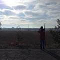 Sakers wintering grounds in Sicily: Catania plain & hills