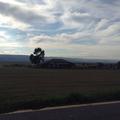 Sakers wintering grounds in Sicily: Catania plain & hills