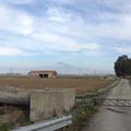 Sakers wintering grounds in Sicily: Catania plain & hills